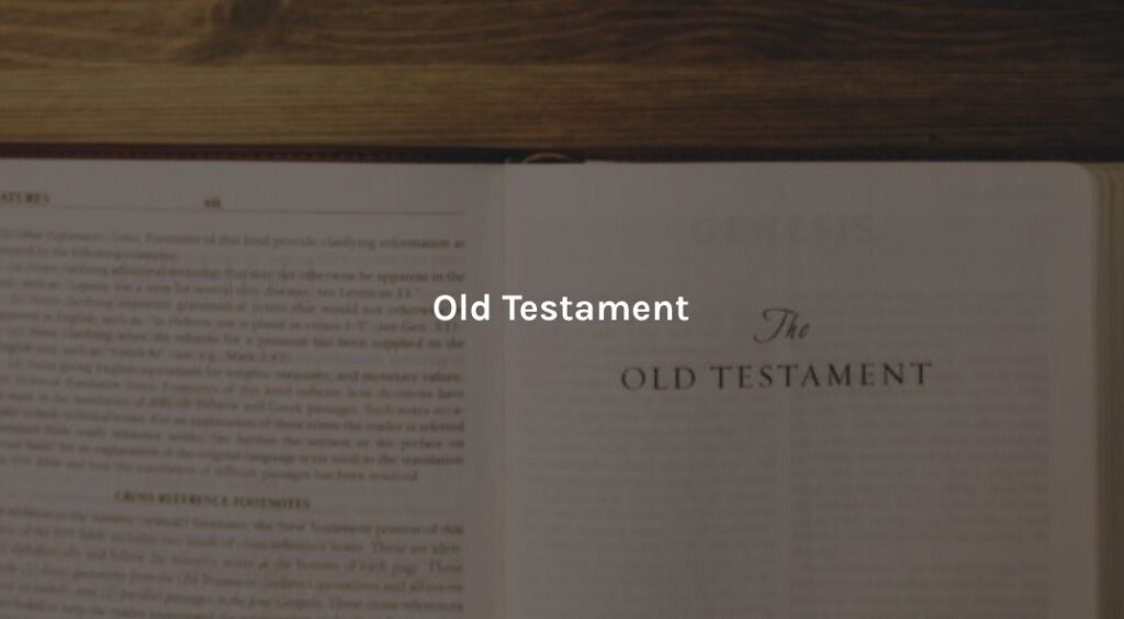 Old Testament Video Lessons