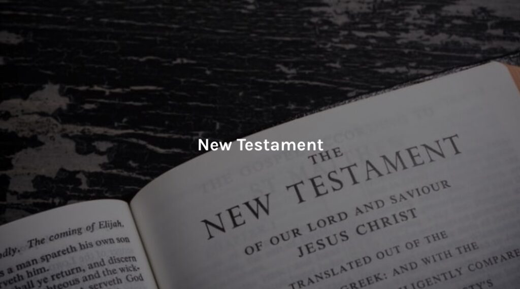 New Testament Video Lessons