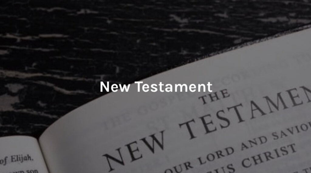 New Testament Video Lessons